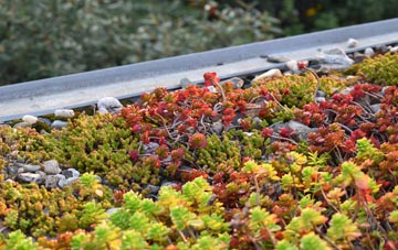 the cost of Jump green roof installation