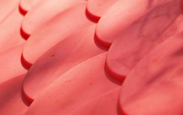 Jump plastic roof costs