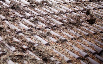 Jump roof cleaning companies